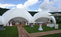 polydome-12