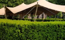 Structura location tente stretch Toulouse, Montauban, Castres, Auch, Albi, Carcassonne, Narbonne, Perpignan, Rodez, Agen